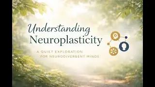 Understanding Neuroplasticity &mdash; A Calm, Quiet Space for Neurodivergent Minds