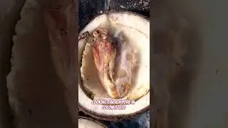 Cooking chicken pork in coconut seed in the countryside of Cambodia. #countrysidevideo #viralfood