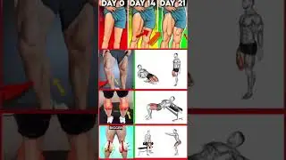 Top Fitness Expert Reveals Best LEG WORKOUT Techniques
