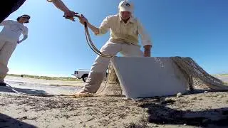 The Red Knot Project NERR Final