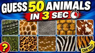 Only 2% of People Can Name All These Animals in 3 Seconds!