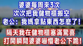 婆婆每周來3次，次次把我儲物櫃搬空，老公：我媽拿點東西怎麼了！隔天我在儲物櫃塞滿驚喜，打開瞬間婆婆嚇懵老公下跪！#生活經驗 #人生感悟 #故事頻道 #故事分享