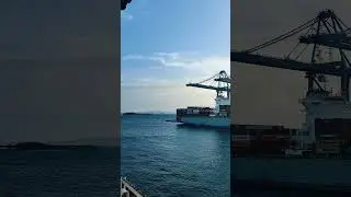 #travel #ship #navy #indianarmy #bjp #cruiseship #ocean #viral #tmc #trending