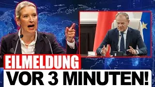 UNFASSBAR! Alice Weidel greift Polen frontal an &ndash; Reparations-Krieg explodiert!