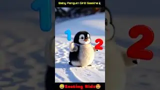Baby Penguin Ginti Seekhe 🐧#Zoozing Kids #shorts