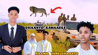 KAAMIL YARE DHAANTO| XAWAADLE  RABAA DHELI  TIREY NEW VIDEO HD 