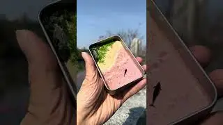🐬REEFOS Pink Ocean Dolphin | Handmade Island Tin Box Craft