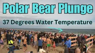 Freezing Fun: 2025 Polar Bear Plunge in Rehoboth Beach Delaware
