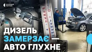 Дизель “парафіниться” на морозі: що заливають на полтавських АЗС та як уберегти авто
