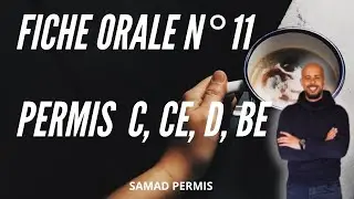 FICHE ORALE  PERMIS C,CE,D,BE N°11