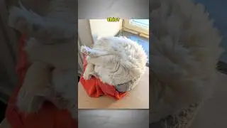 Советы по затенению меха