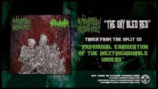 Subhuman Prodigy Of Wickedness / Proctalgia 