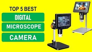 Best Budget Digital Microscope Camera 2025