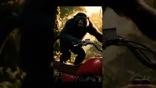 CRAZY MONKEY ON BIKE 😱