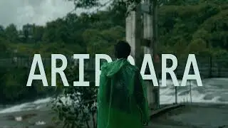 Arippara waterfalls 