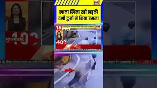 Dog Attack: Dogs attacked a girl while she was feeding her food | CCTV #viralvideo #dogattacks #shorts