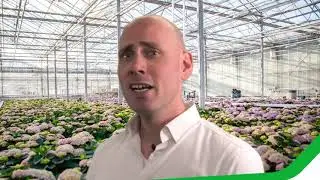 Productieplanning voor potplanten kwekers | software Agriware