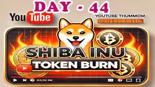 Shiba Inu Coin Burn Let Grow The Price Day 44