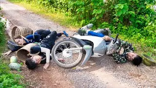 The disabled brother was harmed by bad guys while Harvesting Waxy Pumpkin | Ly Thi Hoa