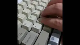 TX87 Alps황축