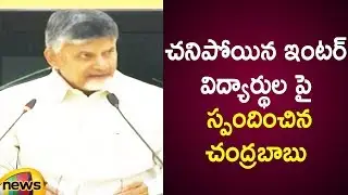 Chandrababu Naidu Responds Over Inter Results Issue In Telangana | Chandrababu Naidu Press Meet