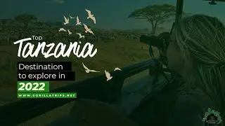 Top Tanzania Destinations To Explore In 2022