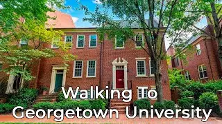 Beautiful Property Near Georgetown University - Perfect for Students or Faculty!