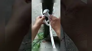 Rope Artistry #youtube #youtubeshorts #ytshorts #knot