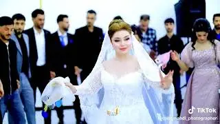 ٢٥ تشرين الثاني ٢٠٢٥