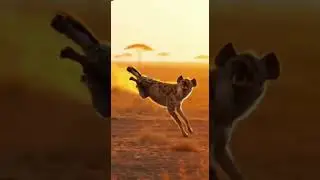 Ostrich Sends Hyena FLYING With One Kick #ai #shorts #animals