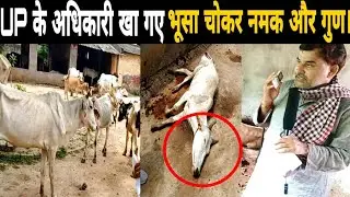 Hello CM UP,  चश्मा उतारिए हुजूर!