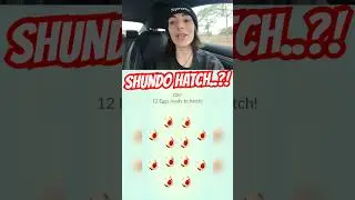 hatching 12 12KM eggs! I almost hatched a shundo! 😭 #pokemongo