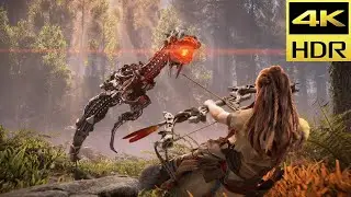 Horizon Zero Dawn Remastered Story Walkthrough - Lessons of the Wild | PS5 Pro 4K HDR 60FPS