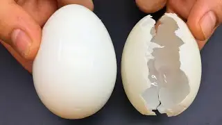 You&rsquo;re WASTING Eggshells &ndash; The Hidden Power You&rsquo;re Ignoring! 
