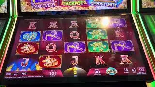 I try the buy a bonus on Amasis Treasures Egyptian Link Wealthy Wilds! For sit work out?!