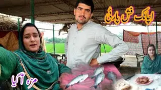 Fish Party || Maza aa Gia || Village Party || Misbah Sajjad Vlog