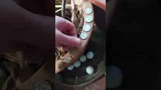 Hailee Lauder 1990 professor weirdo (really is a sequence ee 2012 coins and 7&times;2=14).