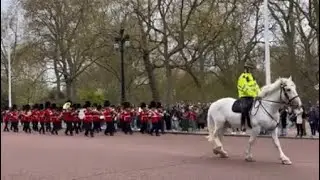 Buckingham Palace London festival