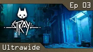 🎵 Stray Ambient | Ep 03 | Ultrawide