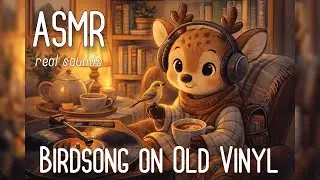 ASMR - Birdsong on Old Vinyl - [Forest Sounds] [Real Sounds]