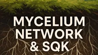 How is the Mycelium Network 🍄 connected to Subquantum Kinetics? ✨️