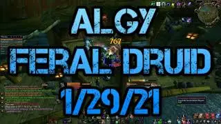 I has a Staff 2 - Atiesh Feral Druid PvP - WoW Classic