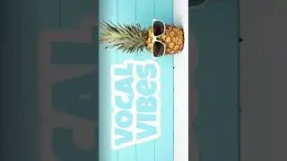 Mint tune