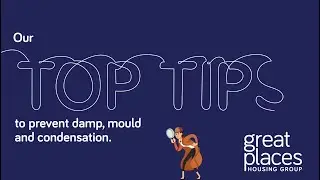 Mould and Condensation - Detective Damp's Guide