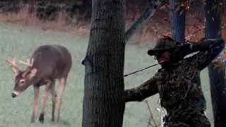 Rattling Bucks into Bow Range!! Part 2