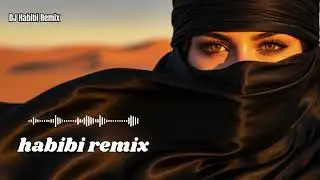 Top Arabic Remix 2025 | Best Habibi Chill & Dance Mix