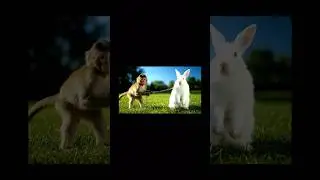 Baby Monkey Playfully Dragging Rabbit with Chain Leash 🐵🐇 #BabyMonkey #CuteAnimals #Veo3Pro