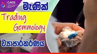 💎Day 2 of Weekday Trading Gemmology &ndash; Completed!