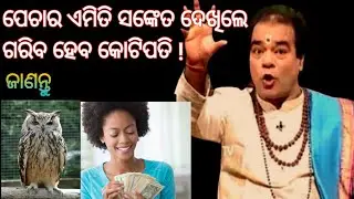 Pecha dekhile shubha na ashubha |Pecha dekhile kan hua |Pecha dekhile bhala na kharap |janiba katha