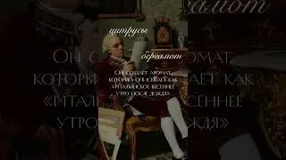 ОДЕКОЛОН: итальянец, Германия и французская иллюзия